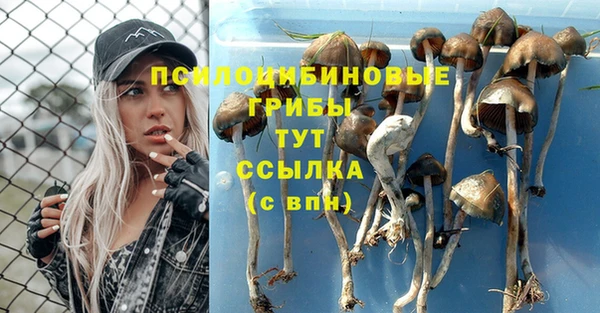 шишки Бронницы