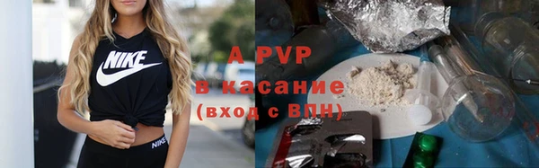 соль ск Белокуриха