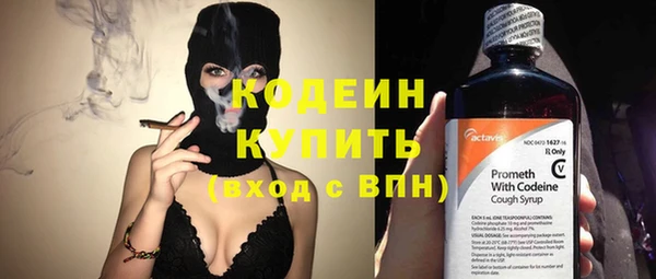 шишки Бронницы