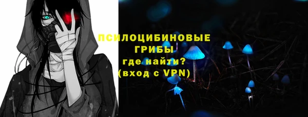 шишки Бронницы
