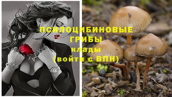 спайс Бородино